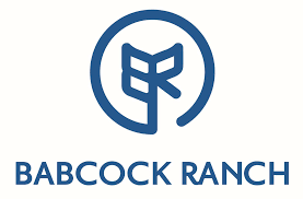 Babcock logo