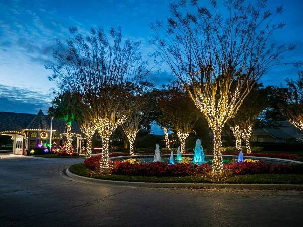 We Hang Christmas Lights Gallery