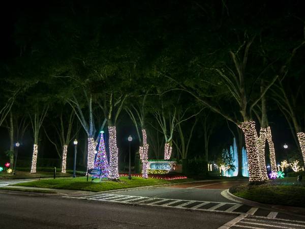 We Hang Christmas Lights Gallery