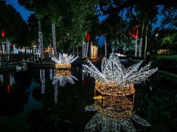 We Hang Christmas Lights Gallery