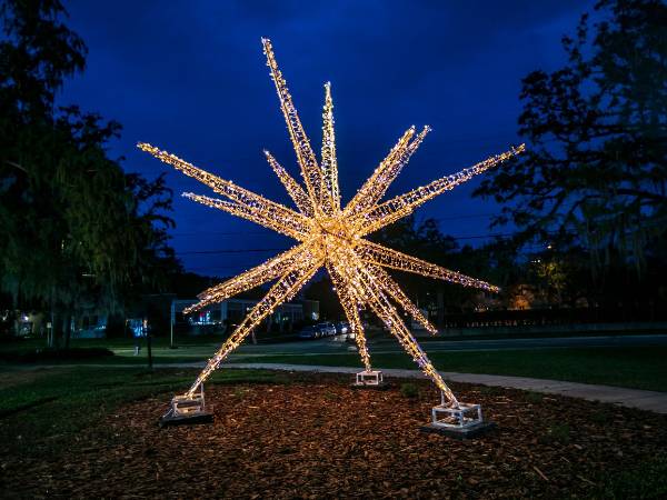 We Hang Christmas Lights Gallery