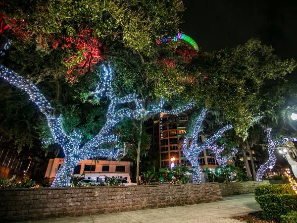 We Hang Christmas Lights Gallery