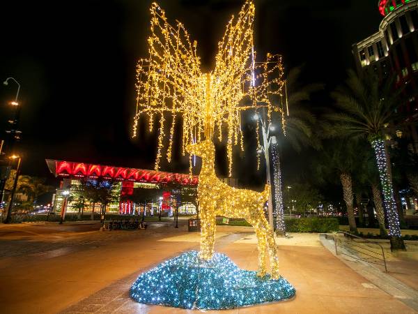 We Hang Christmas Lights Gallery