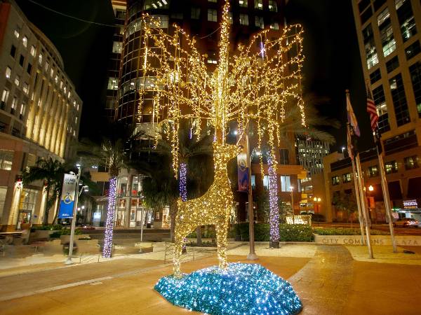 We Hang Christmas Lights Gallery