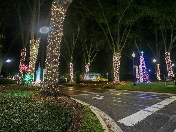 We Hang Christmas Lights Gallery