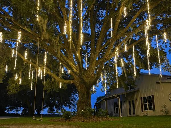 We Hang Christmas Lights Gallery