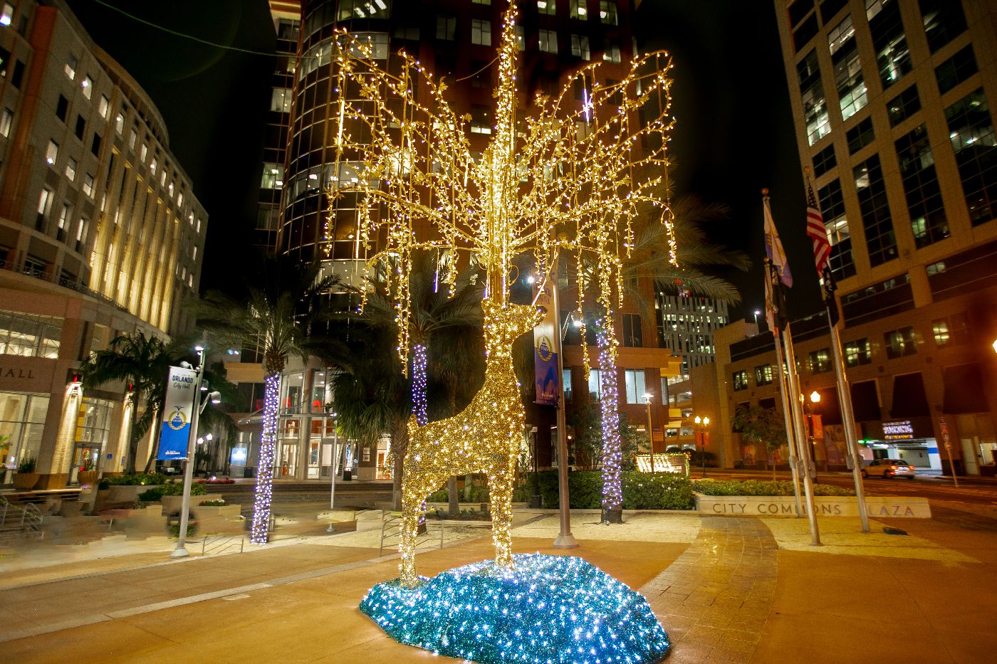 Commercial Christmas Lights Installation