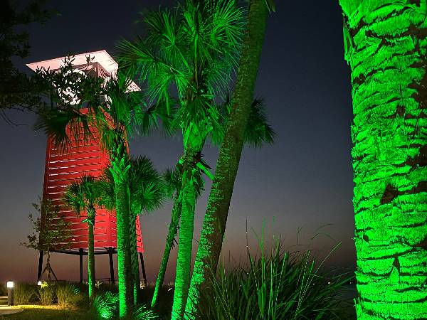 We Hang Christmas Lights - Commercial Landscape Lighting