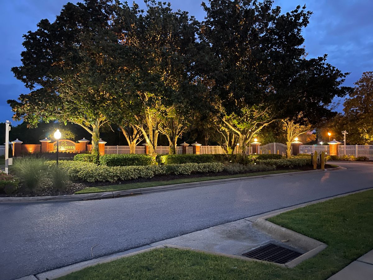 We Hang Christmas Lights - Commercial Landscape Lighting