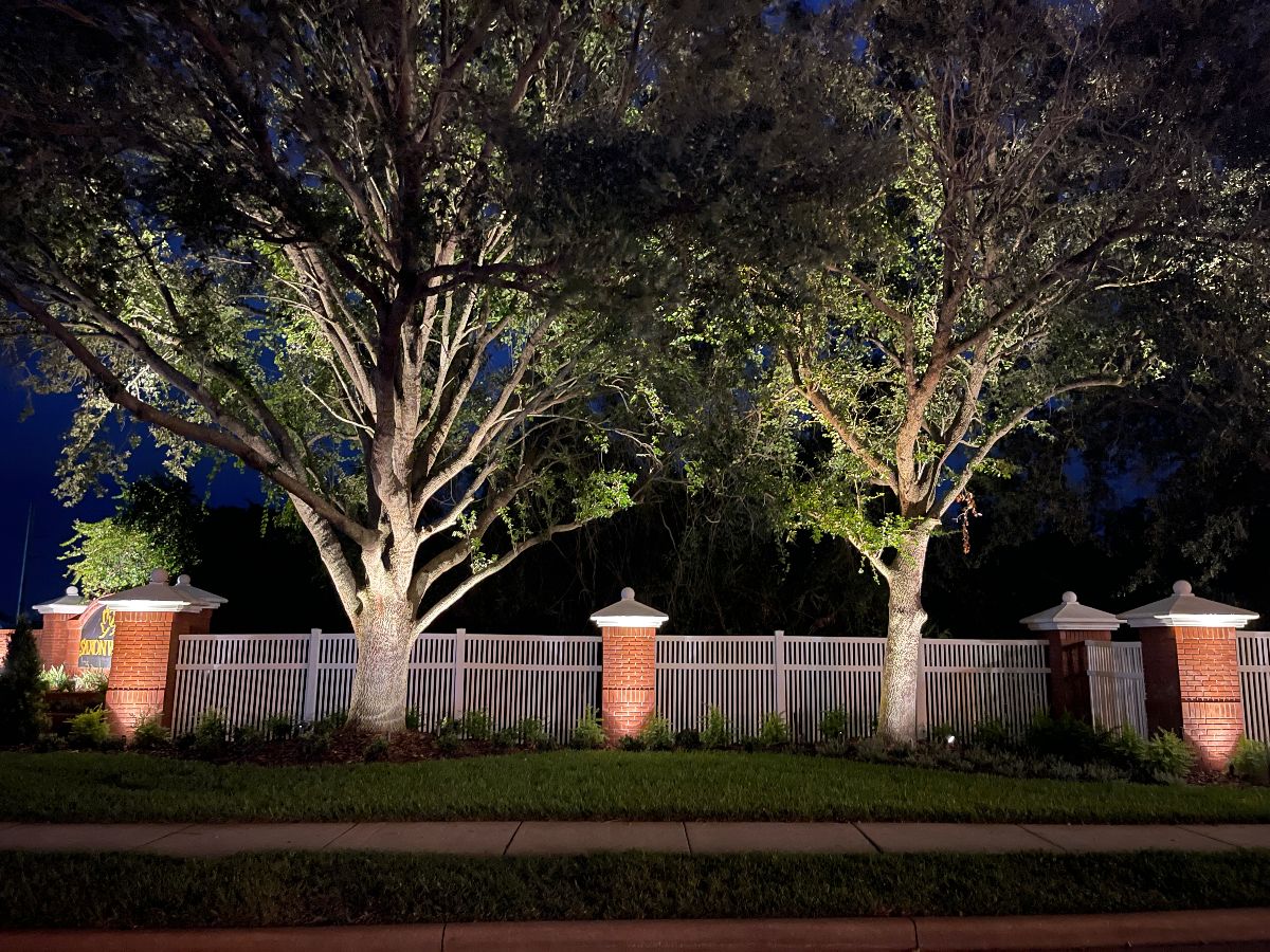 We Hang Christmas Lights - Commercial Landscape Lighting