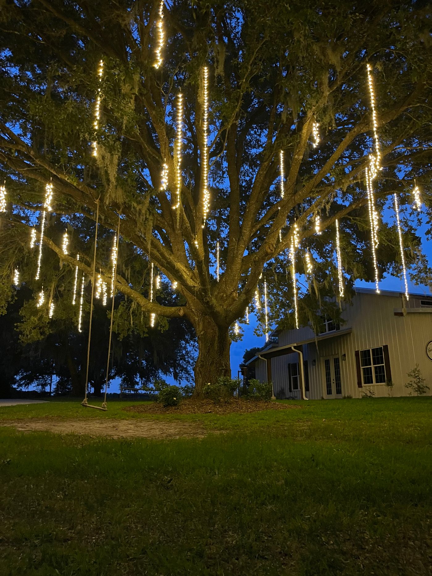 Outdoor Wedding Lighting