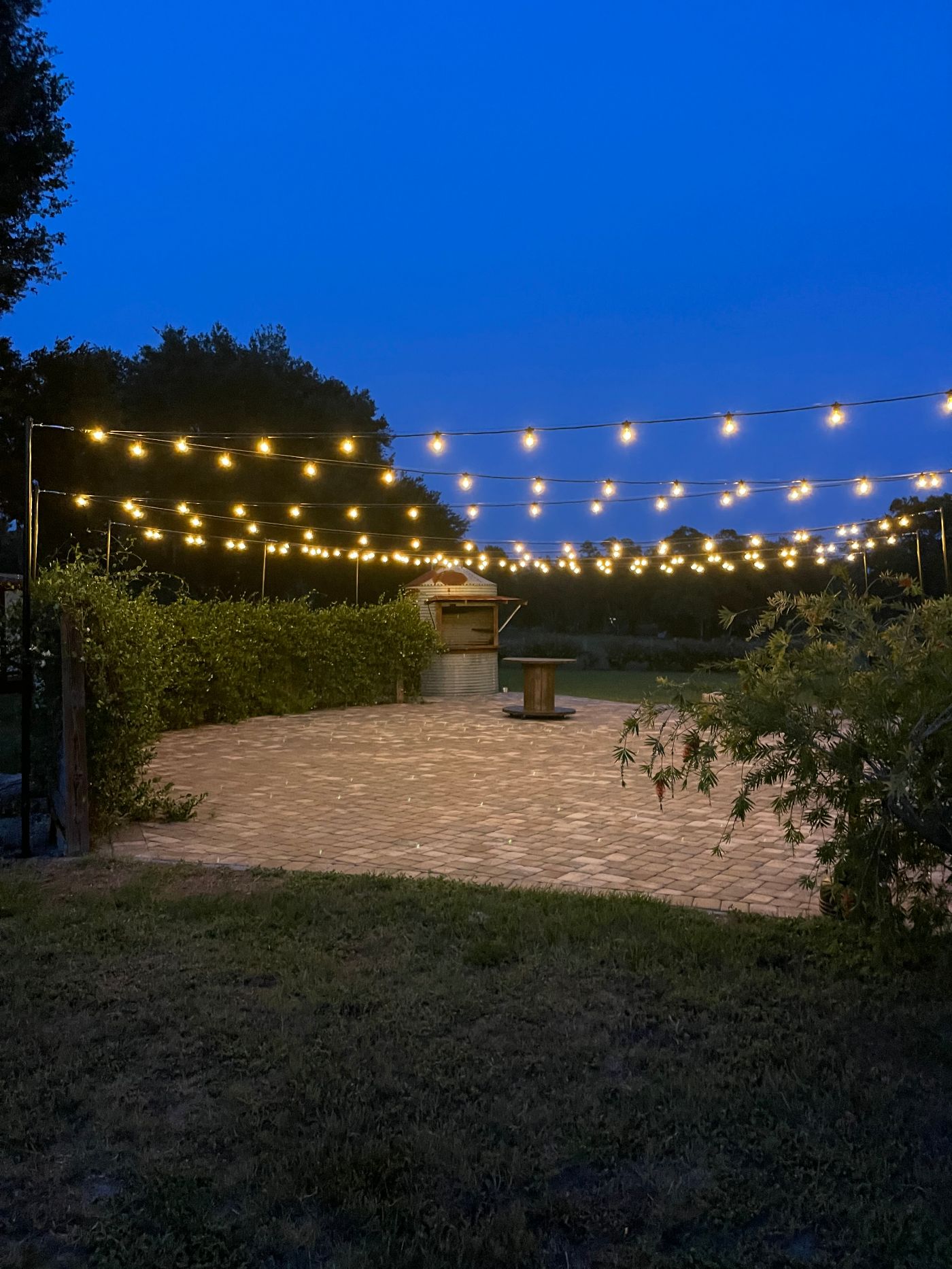 Outdoor Wedding Lighting